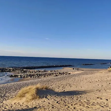 5 Star In * Hjørring